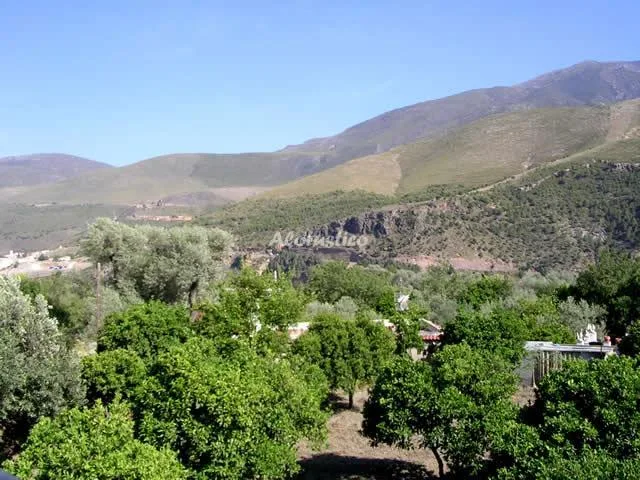 CORTIJO PUGA en ÓRGIVA — miniatura 10