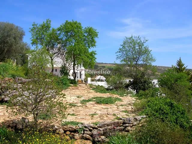 CASA LA ÍNSULA en LOJA — miniatura 7