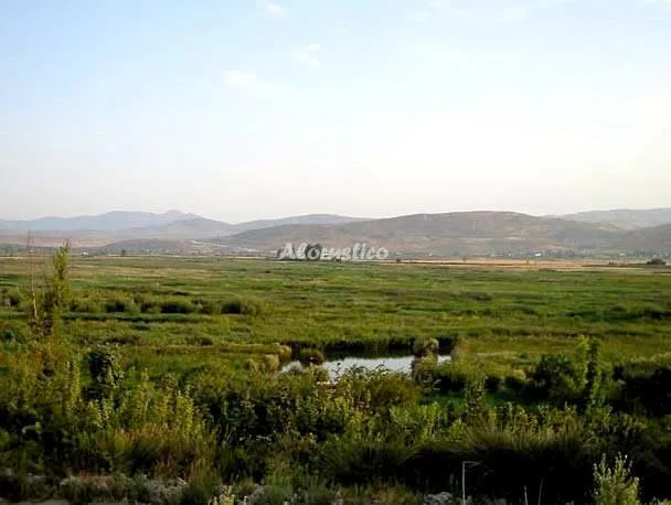 RÍO VIEJO en PADUL — miniatura 7