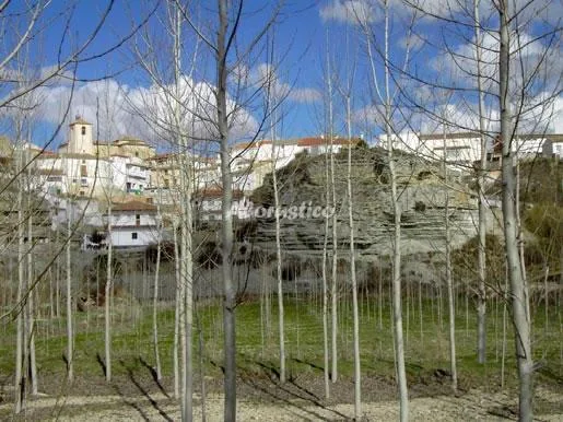 Alojamiento turístico CUEVAS EL MORAL-CUEVA 2 (COLUMNA HIDROMASAJE) en CASTILLEJAR · GRANADA