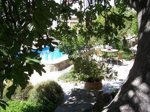 CASA JAZMIN. HABIT ALPUJARREÑA en ÓRGIVA — foto 3