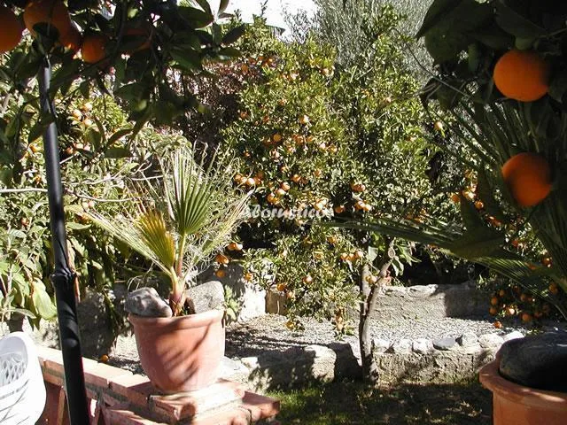 Alojamiento turístico CORTIJO EL CHINA 3 en ÓRGIVA · GRANADA