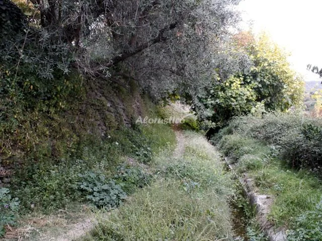 Alojamiento turístico APTO ALIZUL (BAJO) - ADAPTADO en MECINA FONDALES · GRANADA