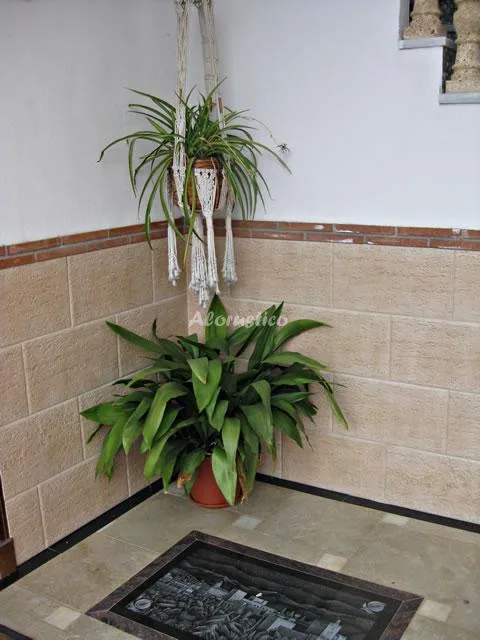 APARTAMENTOS LAHEZA - LAS CHORRERAS en DÍLAR — miniatura 12