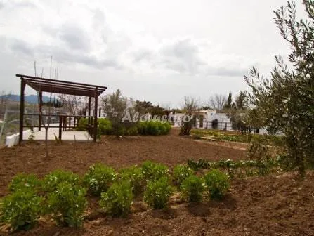 CORTIJO LA HIJUELA en LA ZUBIA — miniatura 7