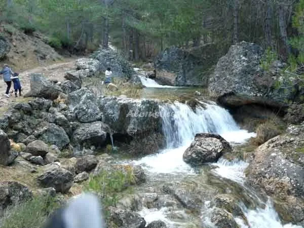 Alojamiento turístico CUEVA DEL SOL en CUEVAS DEL CAMPO · GRANADA