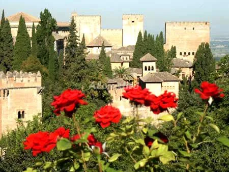 Alojamiento turístico APARTAMENTO CAMPUS DE LA SALUD en GRANADA · GRANADA