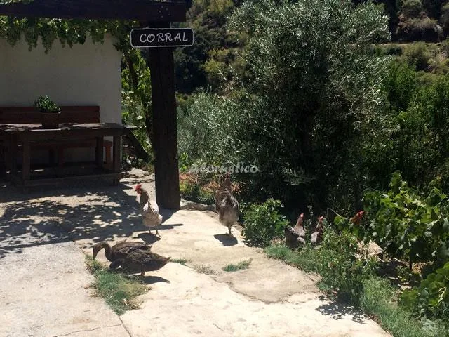 CORTIJO LA SOLANA - CASA Nº 5 en GÜEJAR SIERRA — miniatura 7