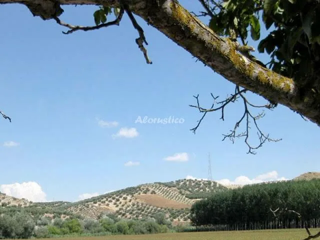 Alojamiento turístico LA MOCATEA en HUÉTOR TÁJAR · GRANADA