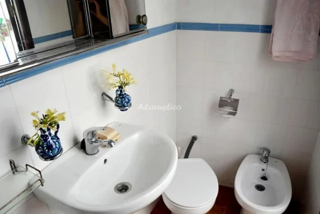 CASA LÚJAR en LUJAR — miniatura 20