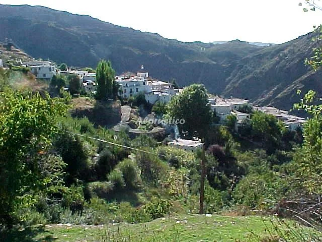 CORTIJO LOS ALACRANES en BUSQUISTAR — miniatura 13