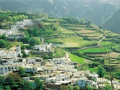 Alojamiento turístico CORTIJO LA VIGA en ÓRGIVA · GRANADA