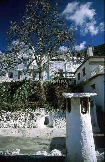 CORTIJO LA VIGA en ÓRGIVA — miniatura 7