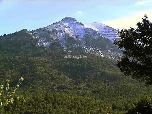 Alojamiento turístico CASA CUEVA Nº1 en CASTILLEJAR · GRANADA