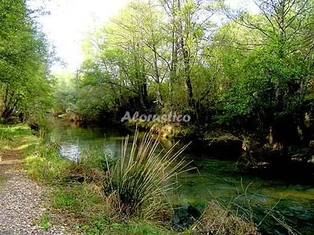 LA VEREDA DE LA PUEBLA en PUEBLA DE VALLES — miniatura 15
