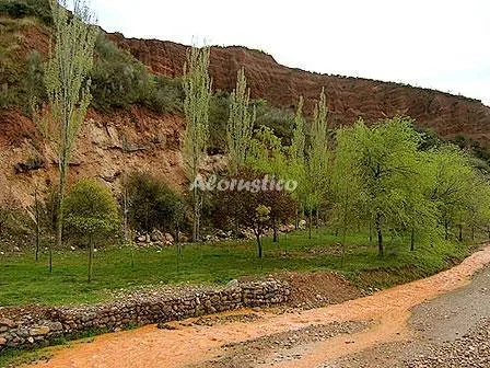 LA VEREDA DE LA PUEBLA en PUEBLA DE VALLES — miniatura 6