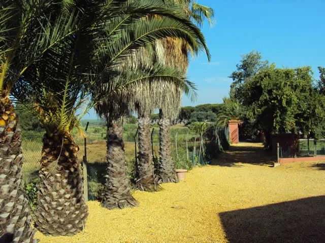 COMPLEJO CAÑADA DEL RUIDO - CASA Nº 1 en CARTAYA — miniatura 7