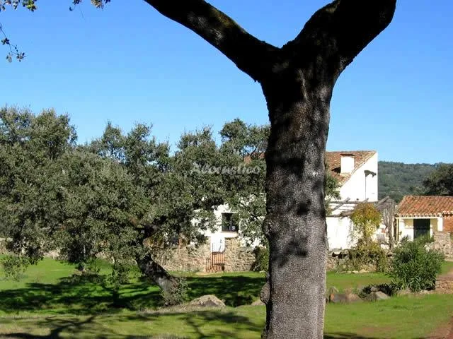 FINCA LA SILLADILLA - ERAS BAJAS en JABUGO — miniatura 8