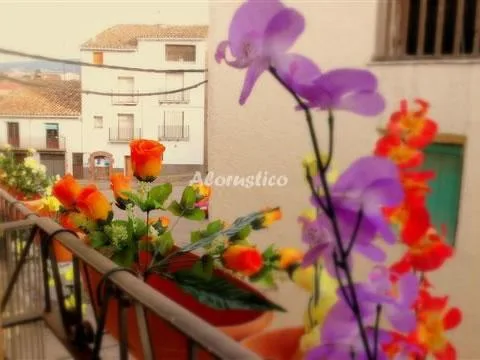 LA ABADÍA-APTO 1º SEGUNDA en TOLVA — miniatura 7