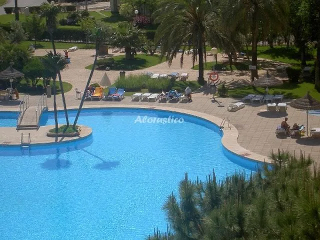 ESTUDIO SIESTA I en PUERTO DE ALCUDIA — miniatura 12