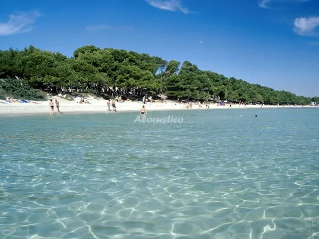 ESTUDIO SIESTA 2 en PUERTO DE ALCUDIA — miniatura 5