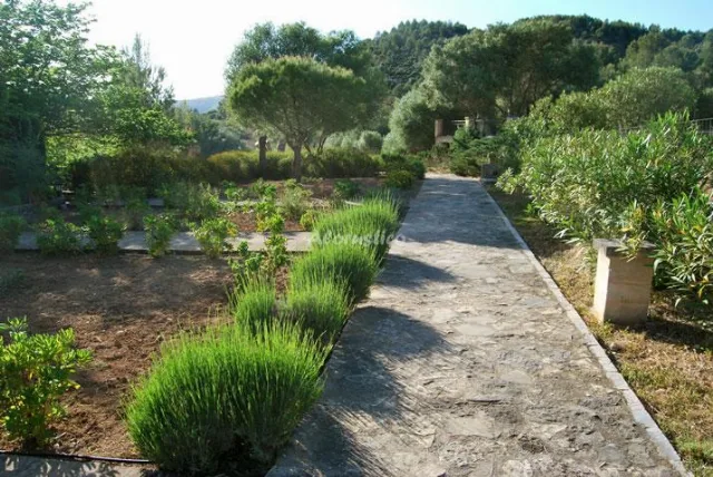 AGROTURISMO SON NOT - APTO A en ARTÁ — miniatura 12