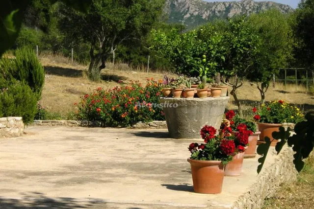 AGROTURISMO SON NOT - APTO A en ARTÁ — miniatura 13