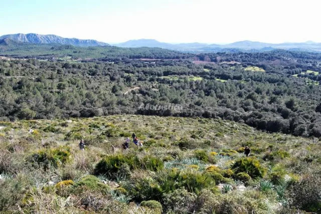 AGROTURISMO SON NOT - APTO A en ARTÁ — miniatura 21
