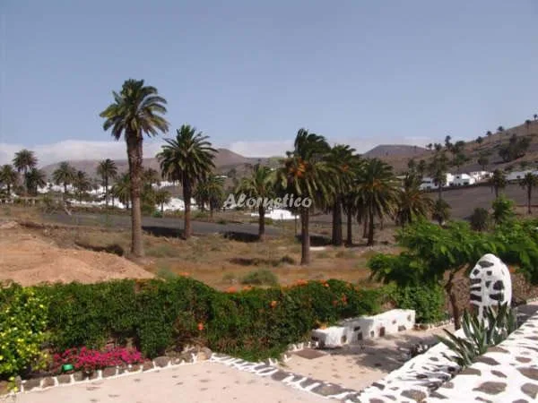 FINCA LA CRUCITA-CASA MÁGUEZ en HARÍA — miniatura 10