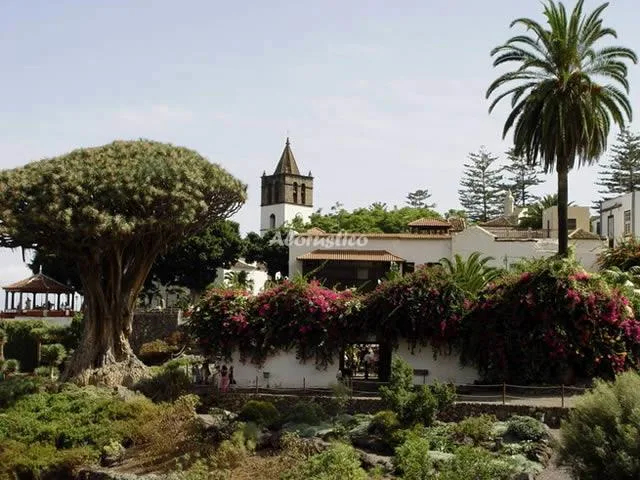 CASA IDA - Nº 1 (NORMAL) en GARACHICO — miniatura 15