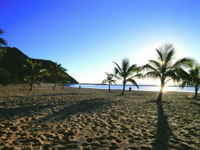 Alojamiento turístico CASA LA MOLINETA en ARAFO · ISLAS CANARIAS