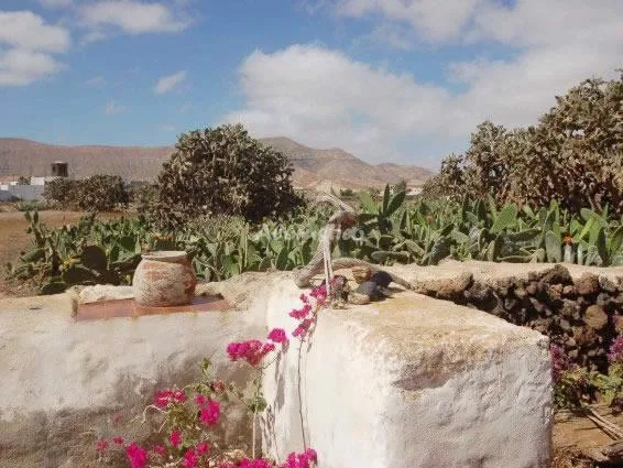 CASA LAS PORTADAS B en LA OLIVA — miniatura 4