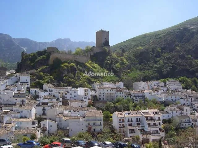 ALOJAMIENTO RURAL MARTINEZ -- APT. Nº1 en CAZORLA — miniatura 7