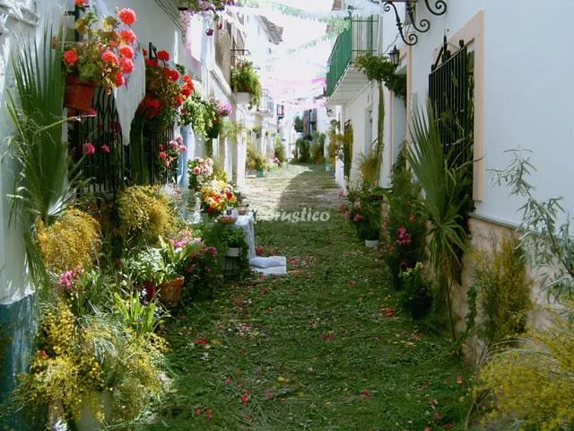 CASA TOMILLO en HINOJARES — miniatura 11
