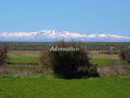 ALOJAMIENTO RURAL PELIJAS II en FONTANAR — miniatura 6
