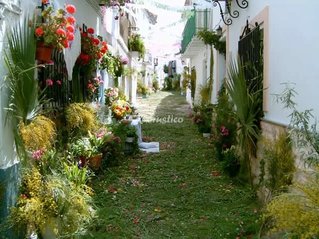 CASA LOS CLAVELES ROJOS en HINOJARES — miniatura 6