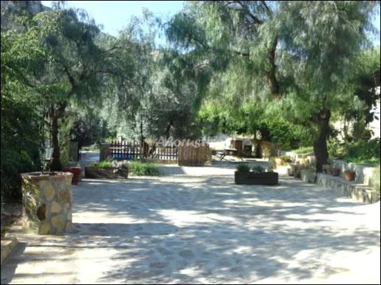 MIRADOR DE CAZORLA 1 en CAZORLA — miniatura 15