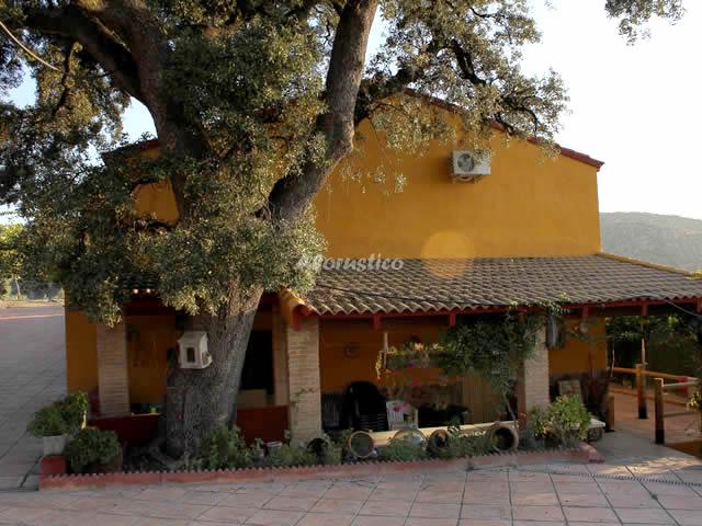 EL ENCINAR DE COBO en FUENSANTA DE MARTOS — foto 2