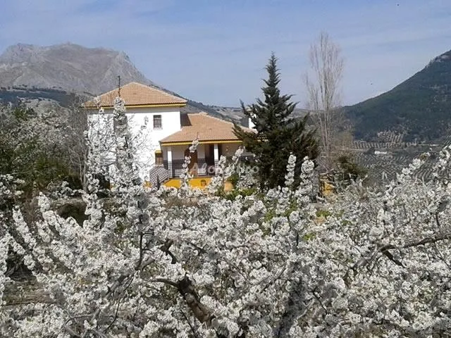 Alojamiento turístico VILLA ROSARIO en TORRES · JAÉN