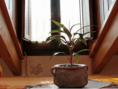 CASA LA COMELLA 2 en BARRUERA — foto 3