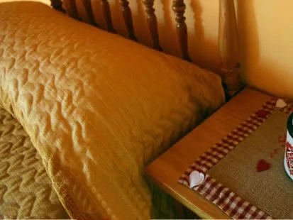 CASA LA COMELLA 2 en BARRUERA — miniatura 6