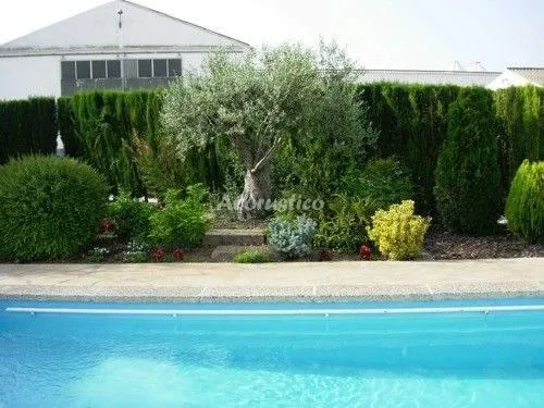 APTO CAL JOSEP 1 en PORTELL — miniatura 6