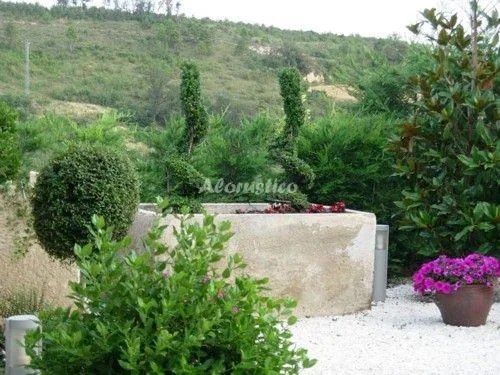 APTO CAL JOSEP 1 en PORTELL — miniatura 15