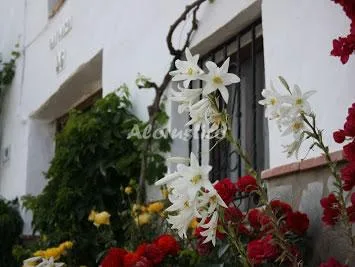 HUERTA LA LAPA en CAÑETE LA REAL — miniatura 38