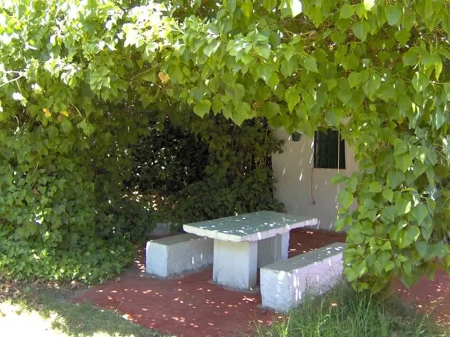 CORTIJO PULGARIN. CASA APRISCO en ALFARNATEJO — miniatura 17