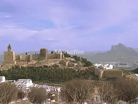 CASITAS DE CAÑOSANTO--OLIVO en CAÑETE LA REAL — miniatura 15