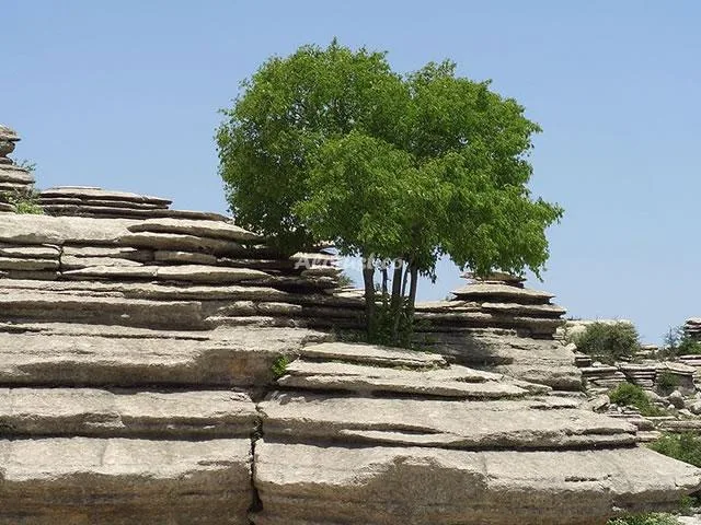 CASA RURAL VEGA ANTEQUERA-TORCAL BAJO en ANTEQUERA — miniatura 6