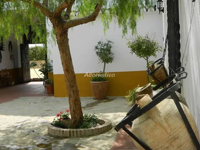 CASA CAMORRA en TEBA — miniatura 20