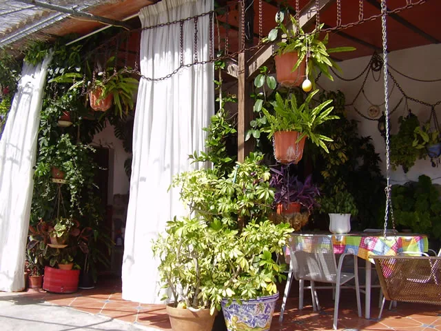 CASA LOS ROJAS en GUARO — miniatura 19