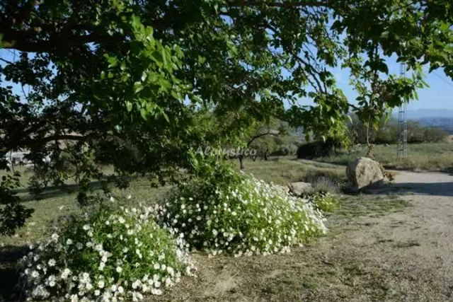 CASA FRANCISCA en ANTEQUERA — miniatura 8